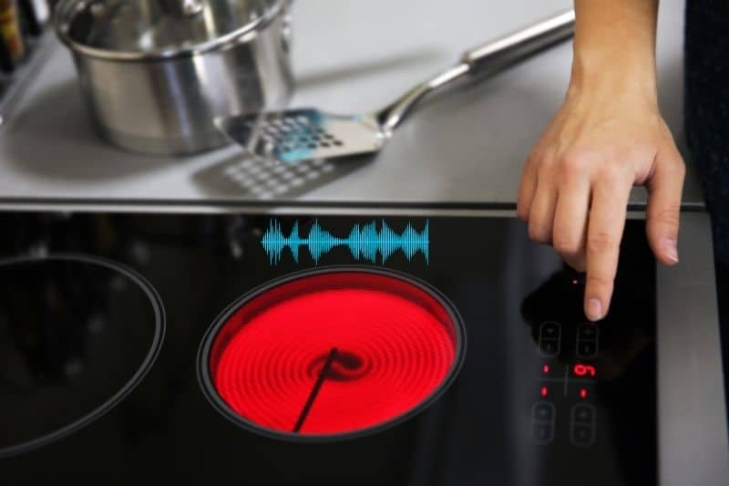 Why Does My Induction Hob Buzz? Chef's Pick