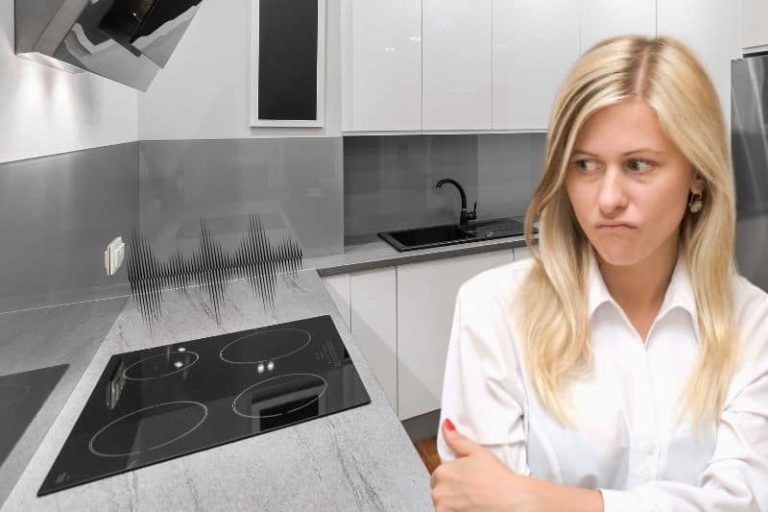 Why Does My Induction Hob Buzz? Chef's Pick