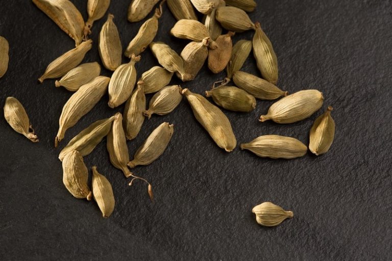 Can You Eat Cardamom Pods?