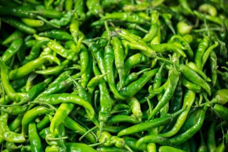Are Red Chillies Hotter Than Green?