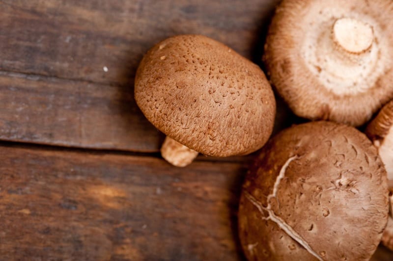 Can You Eat Out of Date Mushrooms?