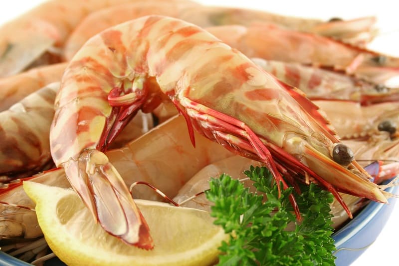 Tiger prawn