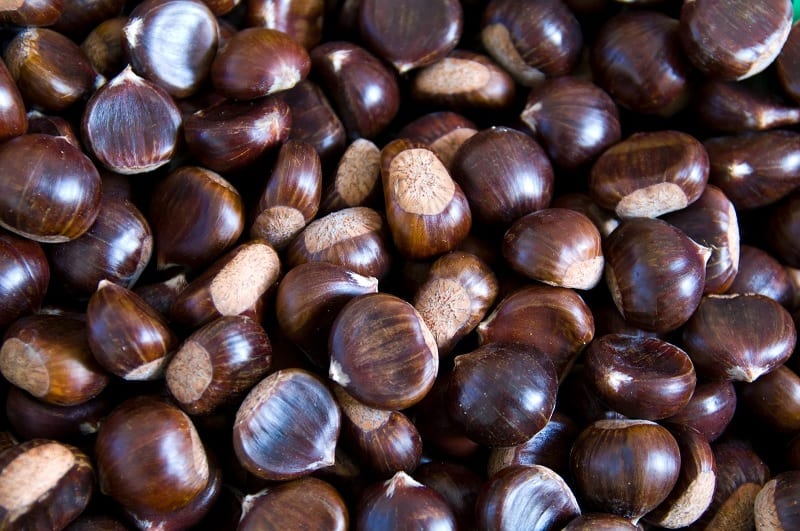 Chesnuts
