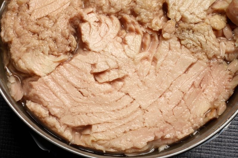 canned tuna