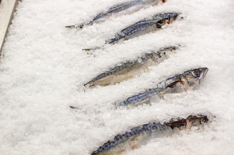 Frozen mackerel