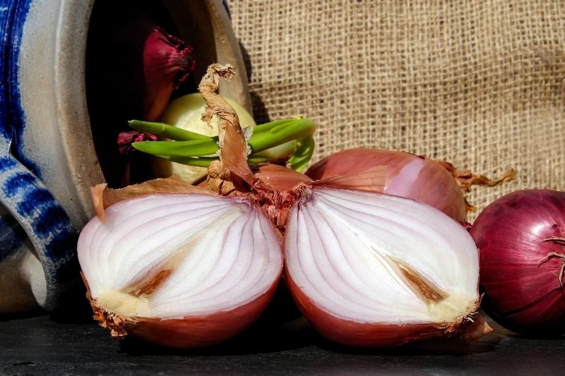 sliced Onions