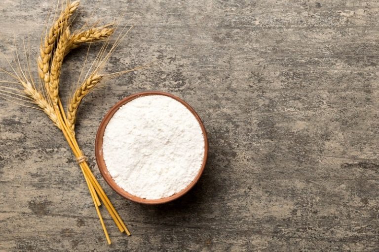 What Is Maida Flour Called In English 