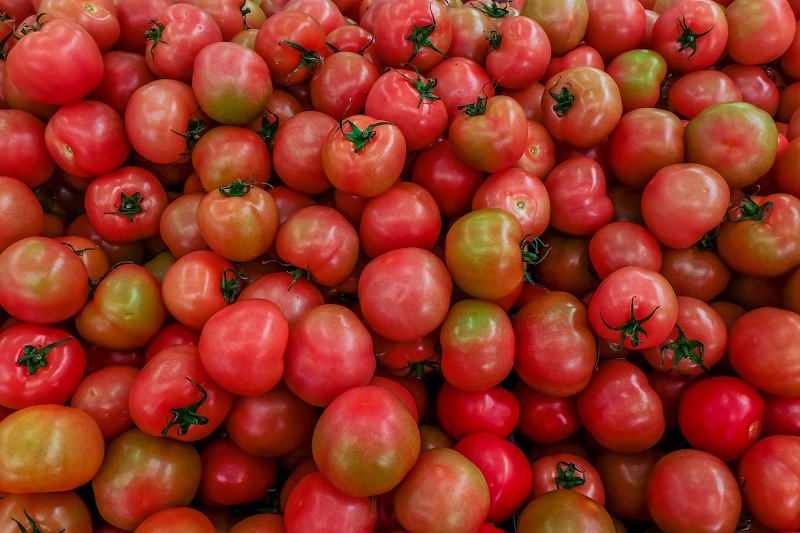 Fresh tomatoes